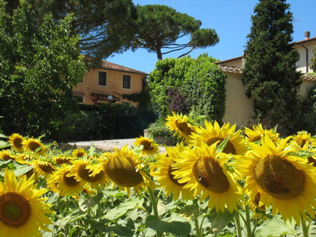 Agriturismo Buon Riposo - Country Resort In The Heart Of Tuscany San Giovanni a Corazzano Exterior foto